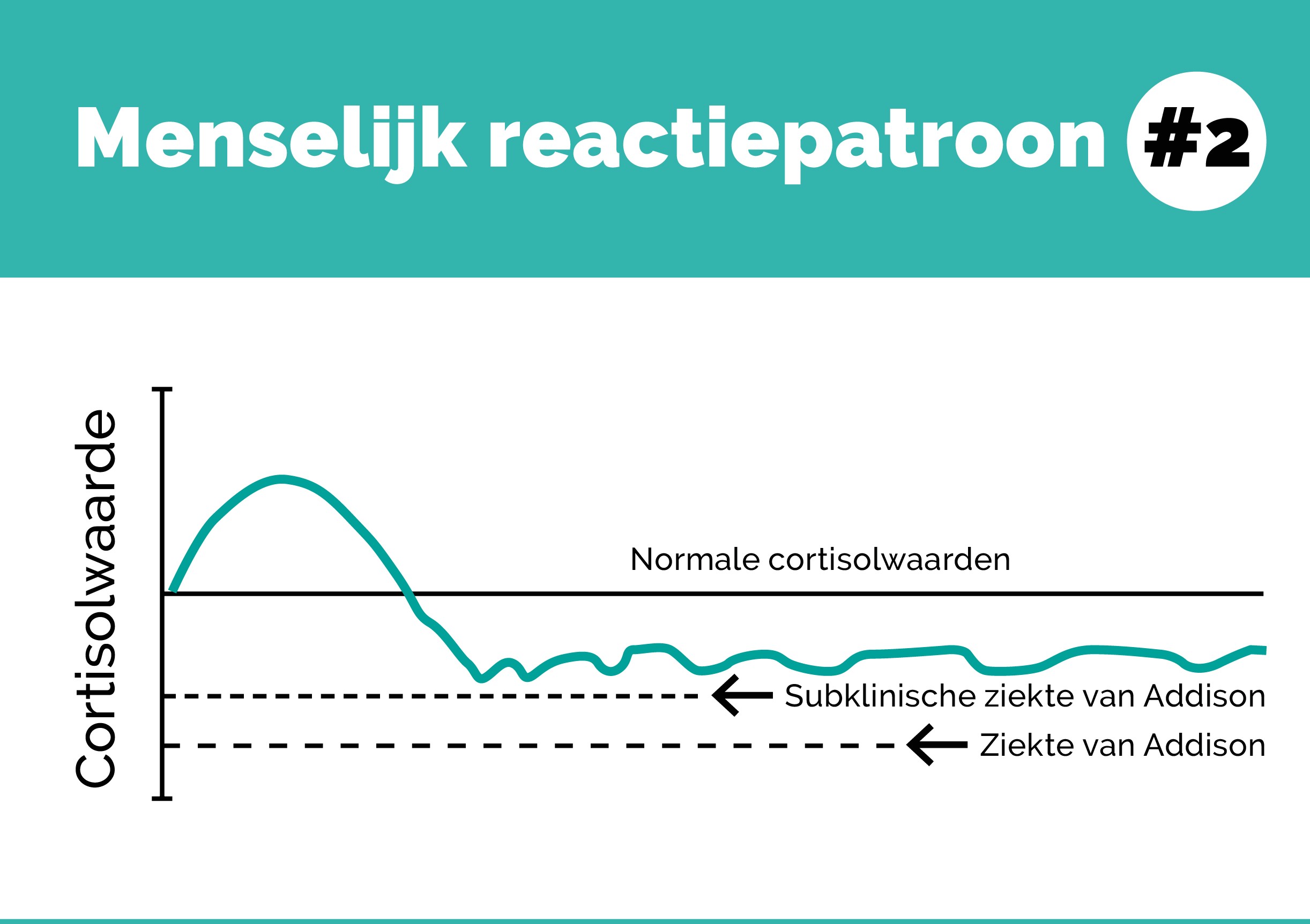 You-Mens_Menselijk reactiepatroon2_EMB_Online_Cortisol